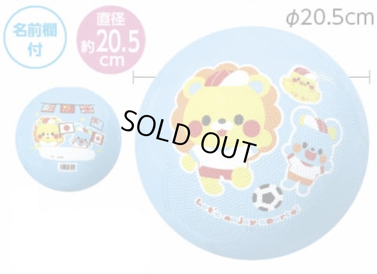 画像1: サッカーボール　子供用20cm なかよし　ゴム製　裏面名前欄　ネット付き　直径約20cm (1)