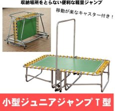 画像1: 小型ジュニアジャンプT型　安全カバー付き　トランポリン (1)